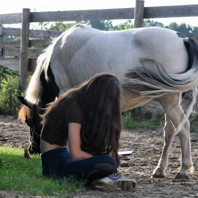 Glück mit dem Partner Pferd